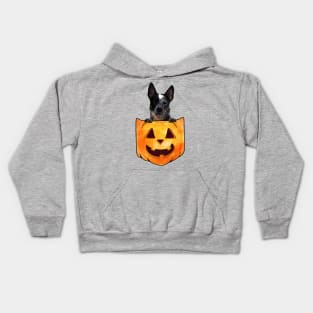 Blue Heeler Dog In Pumpkin Pocket Halloween Kids Hoodie